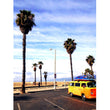 Load image into Gallery viewer, ART ~PALM TREE + WAGEN BUSS~