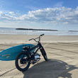 Load image into Gallery viewer, BEACH COMBER